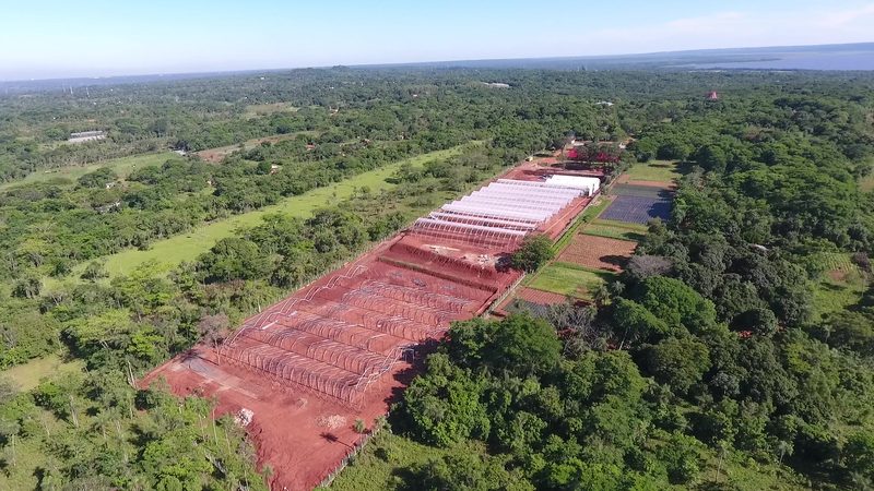 Complejo de invernaderos en obra visto desde un dron