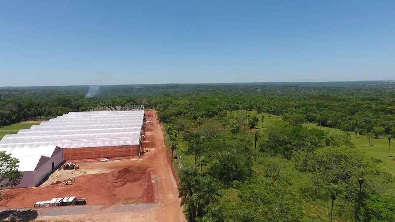 Complejo de invernaderos en obra visto desde un dron
