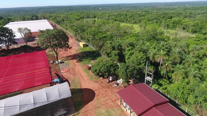Complejo de invernaderos visto desde un dron